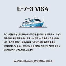 E-7-3일반기능인력비자
