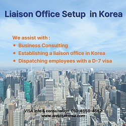 Liaison Office Setup in Korea